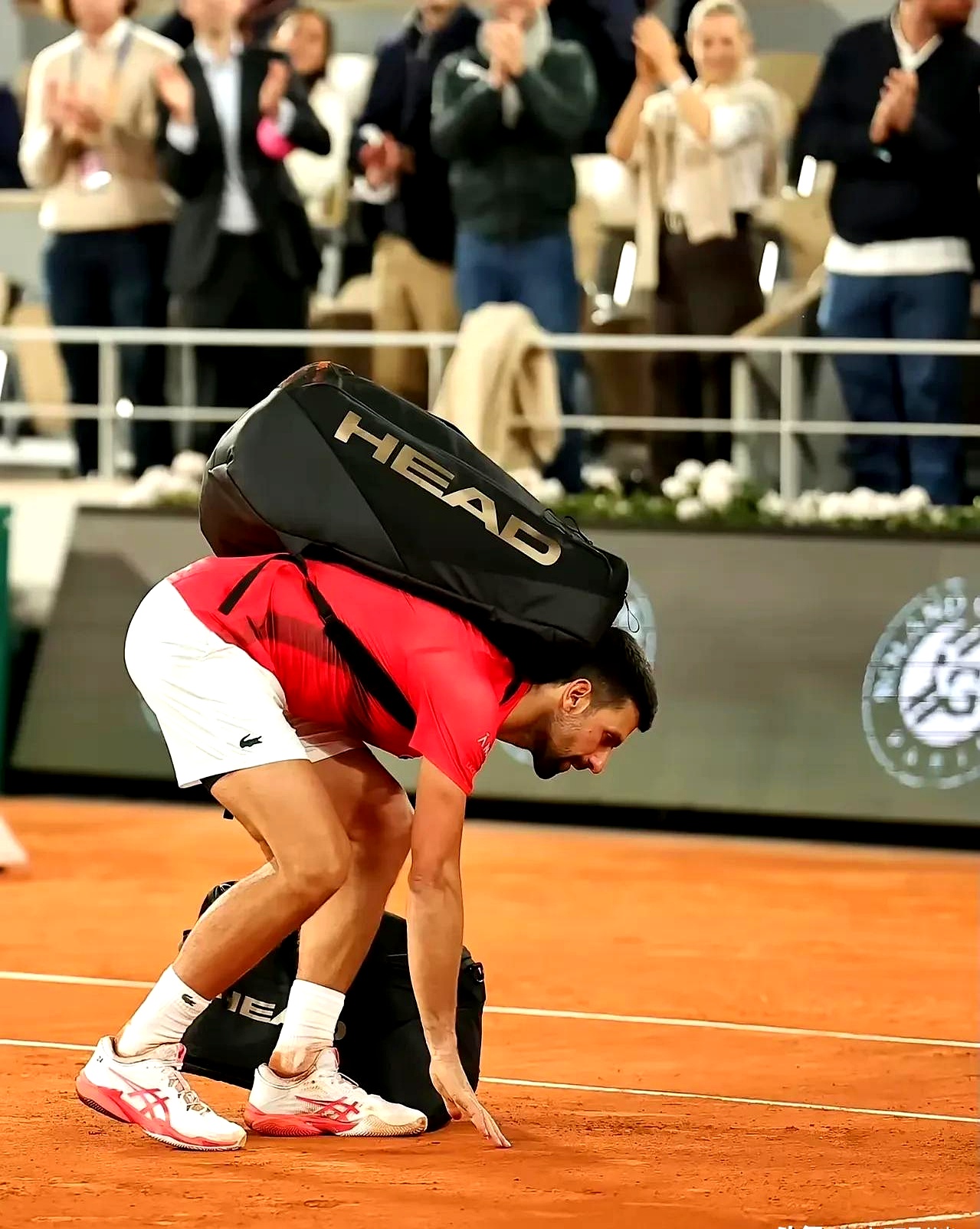 德约科维奇重返赛场，战术调整首场状态出色，美国队观众沸腾！的简单介绍